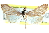  ( - CCDB-28969-C05)  @11 [ ] CreativeCommons - Attribution (2016) CBG Photography Group Centre for Biodiversity Genomics