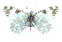  ( - CCDB-28970-A01)  @14 [ ] CreativeCommons - Attribution (2016) CBG Photography Group Centre for Biodiversity Genomics