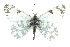  ( - CCDB-28970-A04_NGS)  @11 [ ] CreativeCommons - Attribution (2016) Jacopo DErcole Centre for Biodiversity Genomics