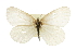 ( - CCDB-28970-E03_NGS)  @11 [ ] CreativeCommons - Attribution (2016) Jacopo DErcole Centre for Biodiversity Genomics