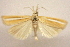  ( - CCDB-28971-A06)  @11 [ ] CreativeCommons - Attribution (2015) CBG Photography Group Centre for Biodiversity Genomics