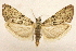  ( - CCDB-28971-H04)  @11 [ ] CreativeCommons - Attribution (2015) CBG Photography Group Centre for Biodiversity Genomics