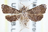  ( - CCDB-28972-B05)  @11 [ ] CreativeCommons - Attribution (2016) CBG Photography Group Centre for Biodiversity Genomics