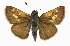  ( - CCDB-28973-B11_NGS)  @14 [ ] CreativeCommons - Attribution (2016) Jacopo DErcole Centre for Biodiversity Genomics