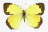  ( - CCDB-28974-E09_NGS)  @11 [ ] CreativeCommons - Attribution (2016) Jacopo DErcole Centre for Biodiversity Genomics