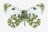  ( - CCDB-28974-H10_NGS)  @11 [ ] CreativeCommons - Attribution (2016) Jacopo DErcole Centre for Biodiversity Genomics
