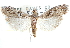  ( - CCDB-28994-F05)  @11 [ ] CreativeCommons - Attribution (2016) CBG Photography Group Centre for Biodiversity Genomics