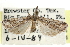  ( - CCDB-28999-A05)  @11 [ ] CreativeCommons - Attribution (2016) CBG Photography Group Centre for Biodiversity Genomics