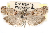  (Ancylosis undulatella - CCDB-28999-D12)  @14 [ ] CreativeCommons - Attribution (2016) CBG Photography Group Centre for Biodiversity Genomics