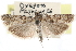  ( - CCDB-28999-E01)  @14 [ ] CreativeCommons - Attribution (2016) CBG Photography Group Centre for Biodiversity Genomics