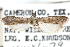  ( - CCDB-29001-D06)  @11 [ ] CreativeCommons - Attribution (2016) CBG Photography Group Centre for Biodiversity Genomics