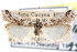  ( - CCDB-29001-E11)  @11 [ ] CreativeCommons - Attribution (2016) CBG Photography Group Centre for Biodiversity Genomics
