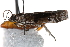  ( - CCDB-29001-F05)  @12 [ ] CreativeCommons - Attribution (2016) CBG Photography Group Centre for Biodiversity Genomics