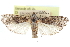  ( - CCDB-29002-C12)  @11 [ ] CreativeCommons - Attribution (2016) CBG Photography Group Centre for Biodiversity Genomics