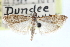 ( - CCDB-29002-G01)  @11 [ ] CreativeCommons - Attribution (2016) CBG Photography Group Centre for Biodiversity Genomics