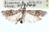  ( - CCDB-29002-G02)  @11 [ ] CreativeCommons - Attribution (2016) CBG Photography Group Centre for Biodiversity Genomics
