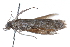  ( - CCDB-29002-H05)  @11 [ ] CreativeCommons - Attribution (2016) CBG Photography Group Centre for Biodiversity Genomics