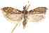  ( - CCDB-29003-A10)  @11 [ ] CreativeCommons - Attribution (2015) CBG Photography Group Centre for Biodiversity Genomics