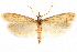 ( - CCDB-29003-A12)  @11 [ ] CreativeCommons - Attribution (2015) CBG Photography Group Centre for Biodiversity Genomics
