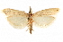  ( - CCDB-29003-B01)  @11 [ ] CreativeCommons - Attribution (2015) CBG Photography Group Centre for Biodiversity Genomics