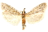  ( - CCDB-29003-B03)  @11 [ ] CreativeCommons - Attribution (2015) CBG Photography Group Centre for Biodiversity Genomics