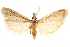  ( - CCDB-29003-B04)  @11 [ ] CreativeCommons - Attribution (2015) CBG Photography Group Centre for Biodiversity Genomics