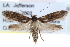  ( - CCDB-29004-C05)  @15 [ ] CreativeCommons - Attribution (2016) CBG Photography Group Centre for Biodiversity Genomics