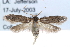  ( - CCDB-29004-C06)  @15 [ ] CreativeCommons - Attribution (2016) CBG Photography Group Centre for Biodiversity Genomics