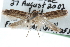  ( - CCDB-29004-C08)  @14 [ ] CreativeCommons - Attribution (2016) CBG Photography Group Centre for Biodiversity Genomics
