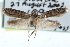  ( - CCDB-29004-C09)  @14 [ ] CreativeCommons - Attribution (2016) CBG Photography Group Centre for Biodiversity Genomics