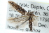  ( - CCDB-29004-H06)  @13 [ ] CreativeCommons - Attribution (2016) CBG Photography Group Centre for Biodiversity Genomics