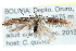  ( - CCDB-29004-H07)  @13 [ ] CreativeCommons - Attribution (2016) CBG Photography Group Centre for Biodiversity Genomics