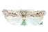  ( - CCDB-28995-A09)  @11 [ ] CreativeCommons - Attribution (2016) CBG Photography Group Centre for Biodiversity Genomics