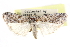  ( - CCDB-28995-D01)  @11 [ ] CreativeCommons - Attribution (2016) CBG Photography Group Centre for Biodiversity Genomics