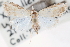  ( - CCDB-28560-E06)  @11 [ ] CreativeCommons - Attribution (2015) CBG Photography Group Centre for Biodiversity Genomics