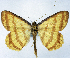  ( - BMNH(E) #0960324)  @11 [ ] CreativeCommons - Attribution Share-Alike (2018) Unspecified Smithsonian Institution National Museum of Natural History