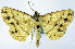  ( - BMNH(E) #0960328)  @11 [ ] CreativeCommons - Attribution Share-Alike (2018) Unspecified Smithsonian Institution National Museum of Natural History
