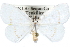  ( - CCDB-29060-F06)  @14 [ ] CreativeCommons - Attribution (2016) CBG Photography Group Centre for Biodiversity Genomics