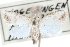  (Nola sorghiella - CCDB-29061-D02)  @11 [ ] CreativeCommons - Attribution (2016) CBG Photography Group Centre for Biodiversity Genomics