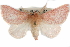  ( - CCDB-29062-E11)  @11 [ ] CreativeCommons - Attribution (2016) CBG Photography Group Centre for Biodiversity Genomics