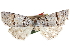  ( - CCDB-29064-A12)  @11 [ ] CreativeCommons - Attribution (2016) CBG Photography Group Centre for Biodiversity Genomics