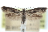  ( - CCDB-29064-H11)  @14 [ ] CreativeCommons - Attribution (2016) CBG Photography Group Centre for Biodiversity Genomics