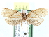  ( - CCDB-29065-B12)  @13 [ ] CreativeCommons - Attribution (2016) CBG Photography Group Centre for Biodiversity Genomics
