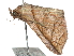  ( - CCDB-29068-H01)  @13 [ ] CreativeCommons - Attribution (2017) CBG Photography Group Centre for Biodiversity Genomics
