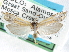  ( - CCDB-29454-C02)  @11 [ ] CreativeCommons - Attribution (2017) CBG Photography Group Centre for Biodiversity Genomics