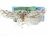  ( - CCDB-29454-F03)  @11 [ ] CreativeCommons - Attribution (2017) CBG Photography Group Centre for Biodiversity Genomics
