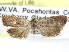  ( - CCDB-29454-G11)  @13 [ ] CreativeCommons - Attribution (2017) CBG Photography Group Centre for Biodiversity Genomics