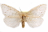  (Cropera - CCDB-29457-C02)  @14 [ ] CreativeCommons - Attribution (2017) CBG Photography Group Centre for Biodiversity Genomics