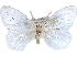  (Marblepsis - CCDB-29457-D02)  @14 [ ] CreativeCommons - Attribution (2017) CBG Photography Group Centre for Biodiversity Genomics