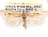  ( - CCDB-29459-B03)  @11 [ ] CreativeCommons - Attribution (2017) CBG Photography Group Centre for Biodiversity Genomics